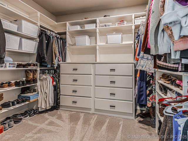 20853 S 81st Ave W, Mounds, OK 74047 - spacious closet with carpet flooring