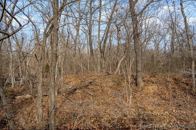 16511 S 4230th Rd, Claremore, OK 74017 - view of nature