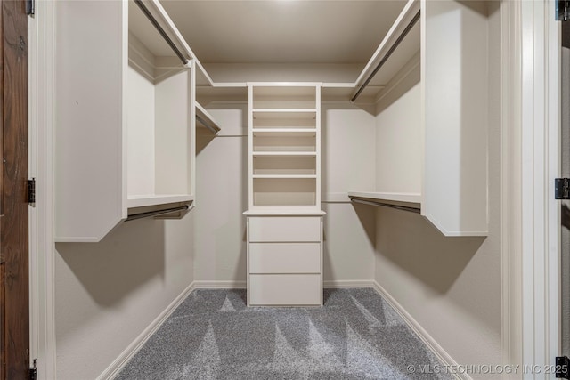 7180 E 179th St S, Bixby, OK 74008 - spacious closet featuring carpet floors