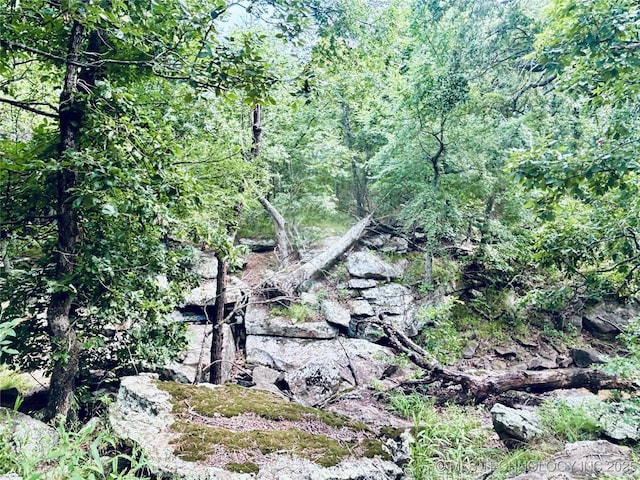 416602 E 1065, Checotah, OK 74426 - view of nature