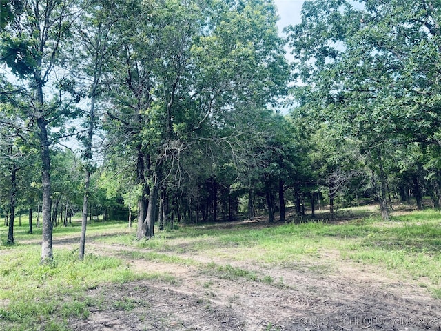 416602 E 1065, Checotah, OK 74426 - view of undeveloped land