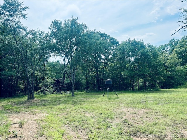 416602 E 1065, Checotah, OK 74426 - view of yard