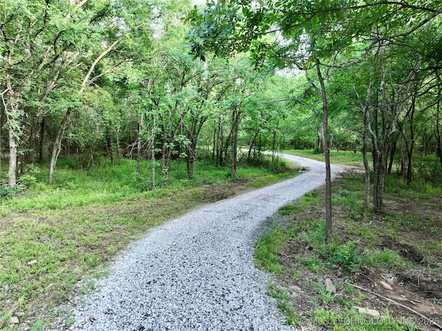 416602 E 1065, Checotah, OK 74426 - view of street featuring a forest view