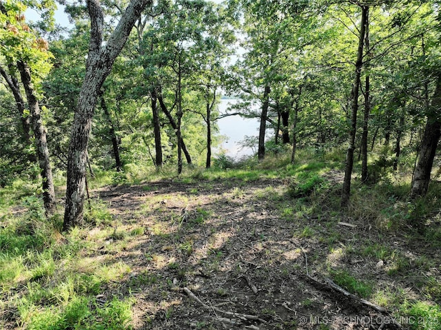 416602 E 1065, Checotah, OK 74426 - view of local wilderness