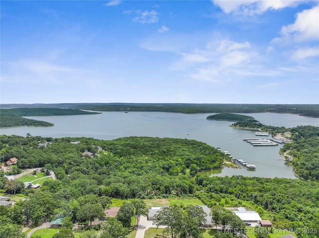 96164 S Strayhorn Heights Rd, Gore, OK 74435 - bird's eye view of a large body of water and a heavily wooded area