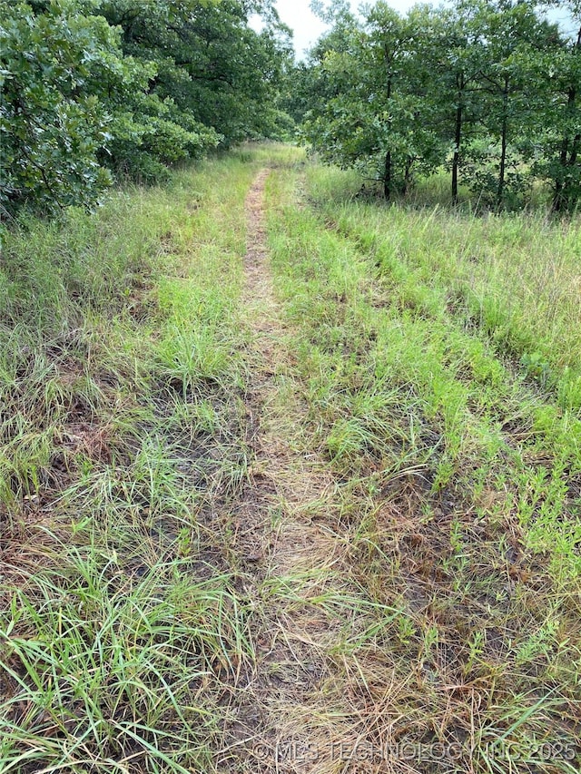 Lake Rd, Skiatook, OK 74070