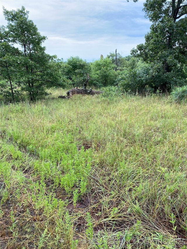 Lake Rd, Skiatook, OK 74070