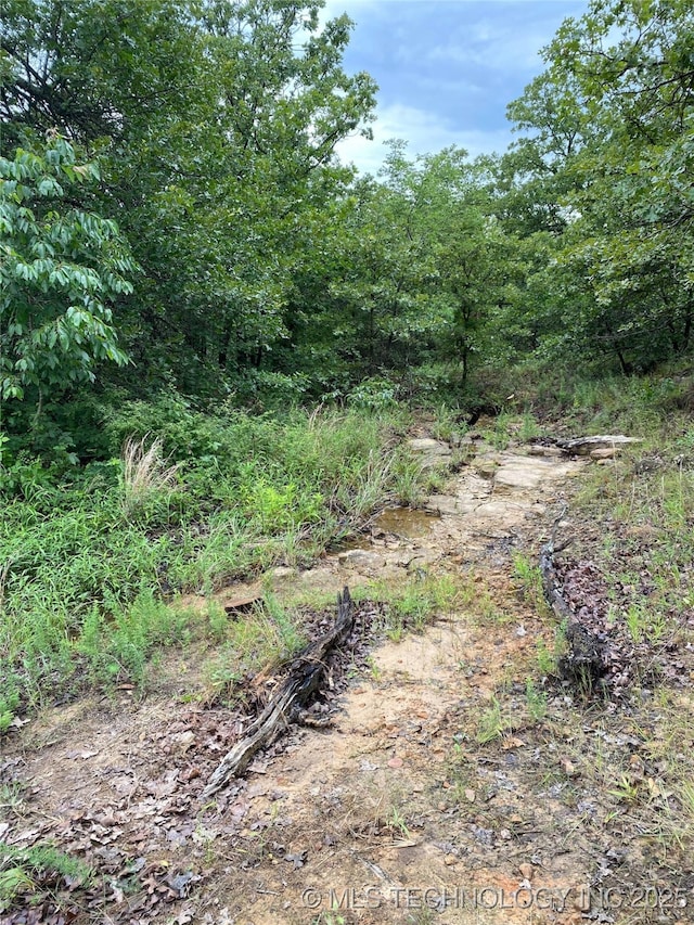 Lake Rd, Skiatook, OK 74070