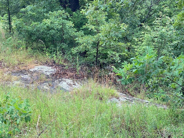 Lake Rd, Skiatook, OK 74070