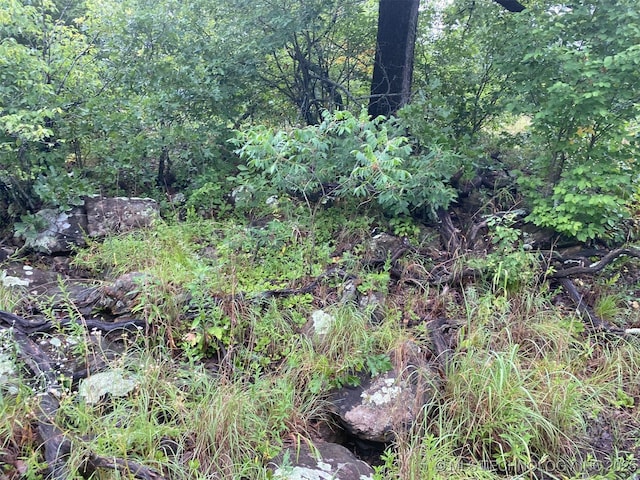 Lake Rd, Skiatook, OK 74070