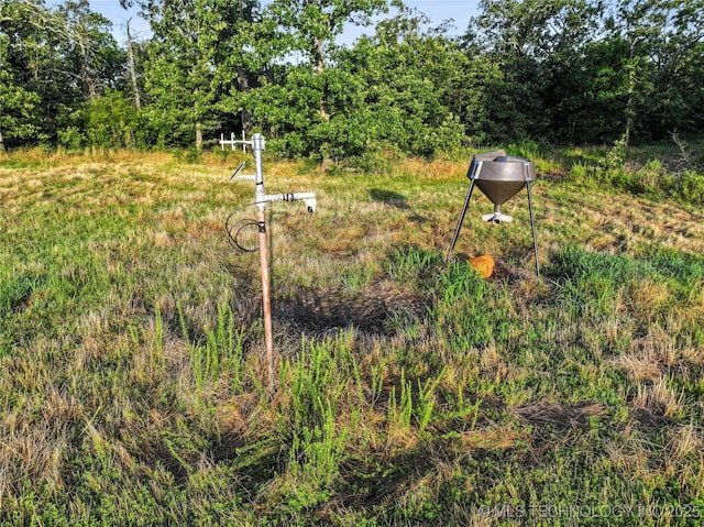 21501 S 705th Rd, Wyandotte, OK 74370 - photo 39
