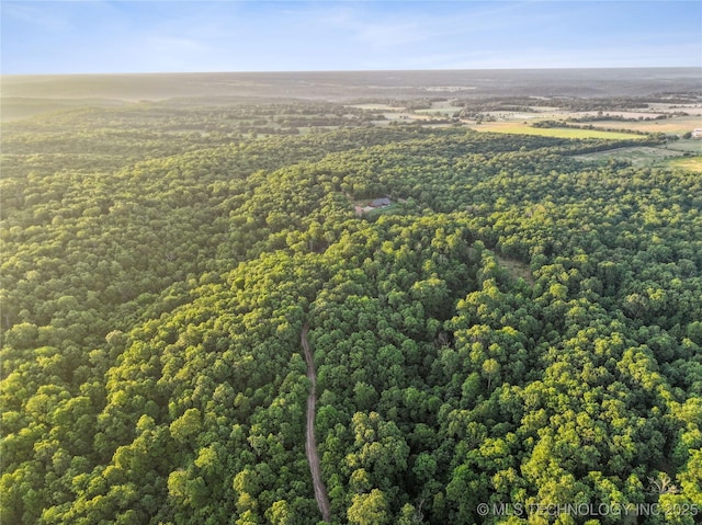 21501 S 705th Rd, Wyandotte, OK 74370 - photo 42