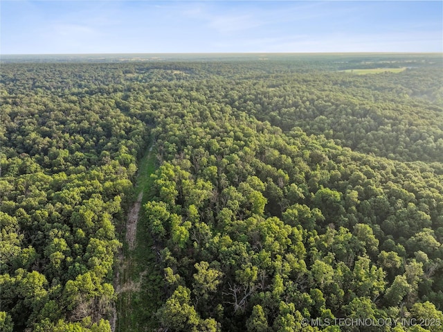 21501 S 705th Rd, Wyandotte, OK 74370 - photo 50