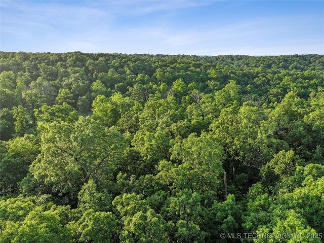 21501 S 705th Rd, Wyandotte, OK 74370 - photo 51