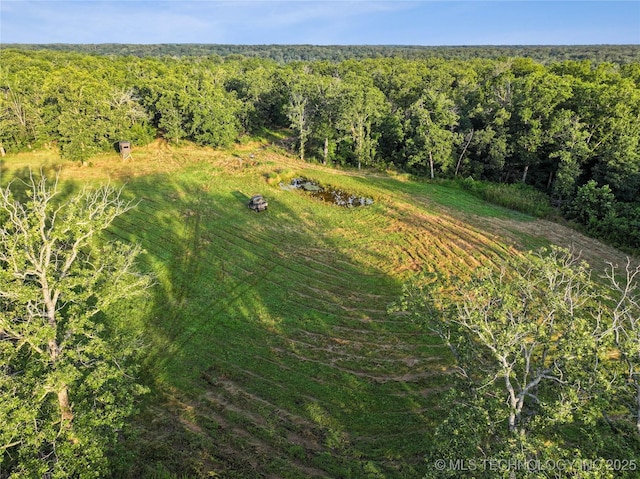 21501 S 705th Rd, Wyandotte, OK 74370 - photo 52