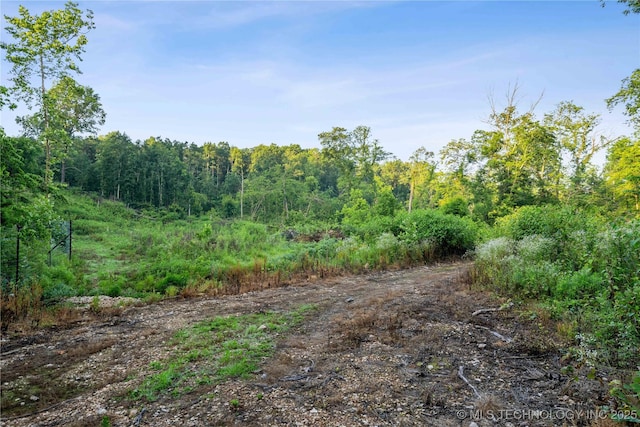 21501 S 705th Rd, Wyandotte, OK 74370 - photo 64