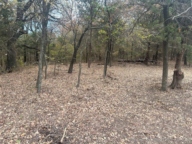 Sexton Rd, Calera, OK 74730 - photo 14