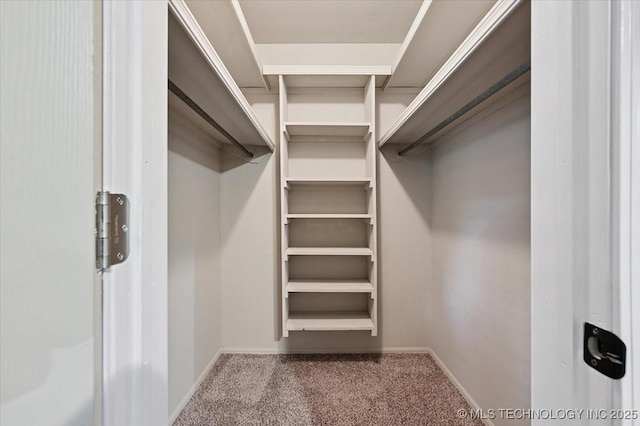 3948 S 93rd E Ave, Tulsa, OK 74145 - spacious closet with carpet floors