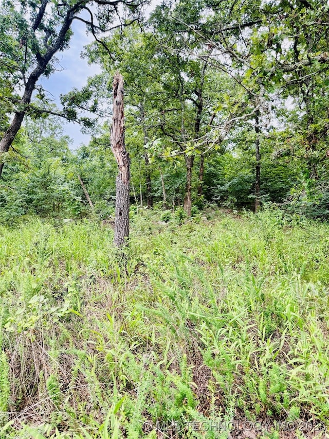 0 Falcon Ln, Eufaula, OK 74432