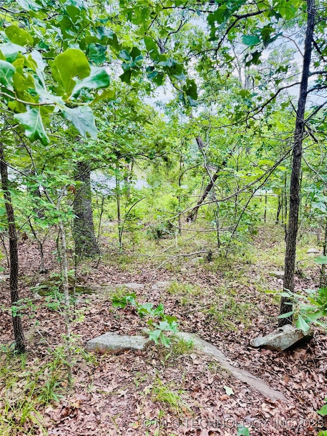 0 Falcon Ln, Eufaula, OK 74432