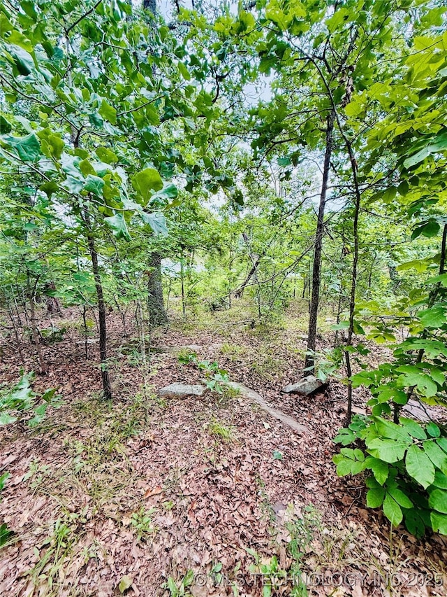 0 Falcon Ln, Eufaula, OK 74432