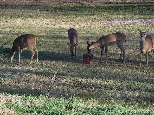 357891 E 810th Rd, Stroud, OK 74079 - photo 35