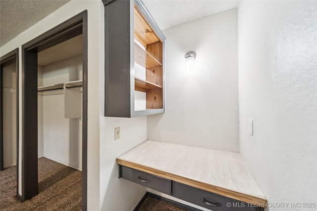 6103 S 223rd E Ave, Broken Arrow, OK 74014 - interior space featuring carpet floors and a textured ceiling