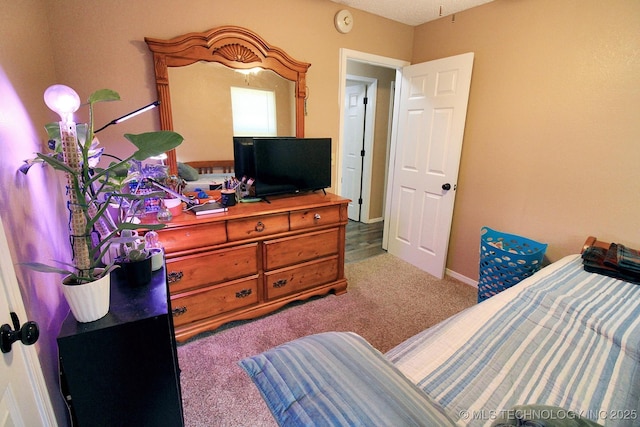 1518 E Hogner St, Tahlequah, OK 74464 - carpeted bedroom with baseboards