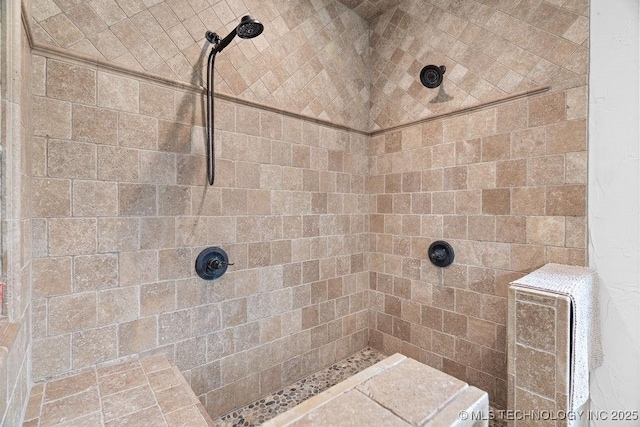 9094 Waters Edge, Kingston, OK 73439 - full bathroom featuring a tile shower