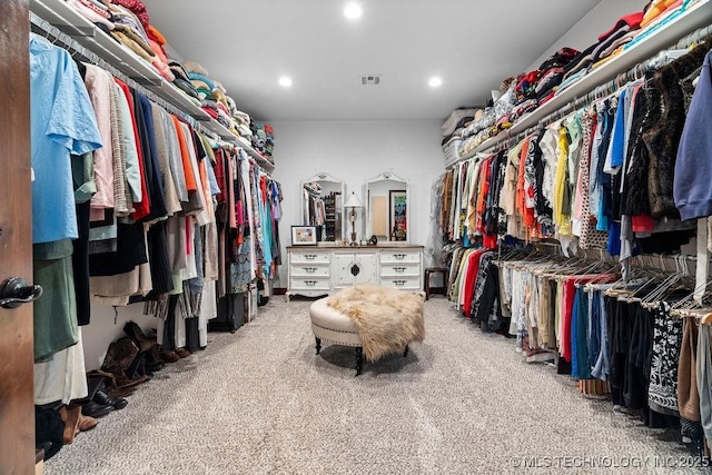 9094 Waters Edge, Kingston, OK 73439 - spacious closet featuring carpet floors