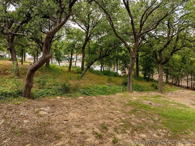 9094 Waters Edge, Kingston, OK 73439 - view of local wilderness