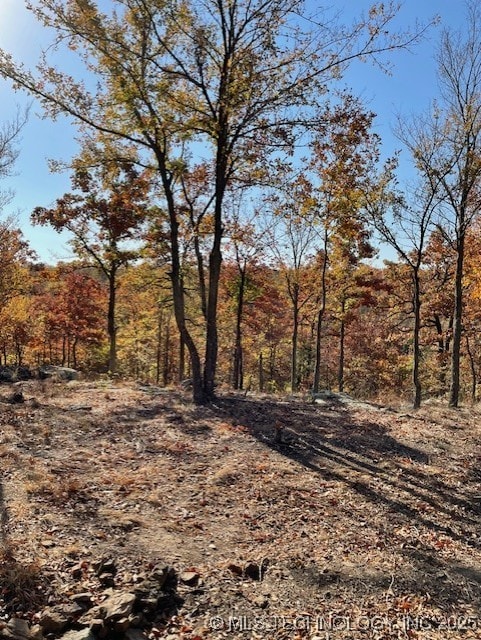 14500 E 202nd St S, Bixby, OK 74008 - photo 3