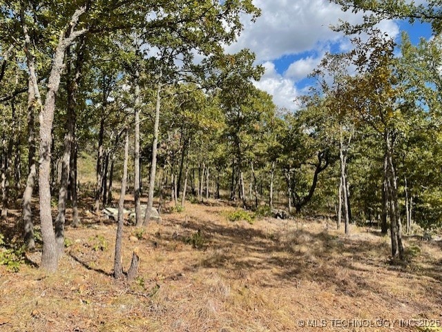 14500 E 202nd St S, Bixby, OK 74008 - photo 8