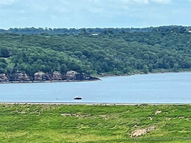 98224 S 4489th Rd, Vian, OK 74962 - water view