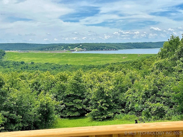 98224 S 4489th Rd, Vian, OK 74962 - water view