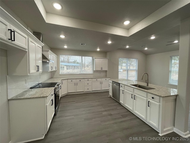 23308 W 171st St, Kellyville, OK 74039 - kitchen featuring stainless steel appliances, wall chimney range hood, a tray ceiling, dark wood finished floors, and white cabinetry