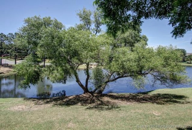 203 E 125th Pl S, Jenks, OK 74037 - water view