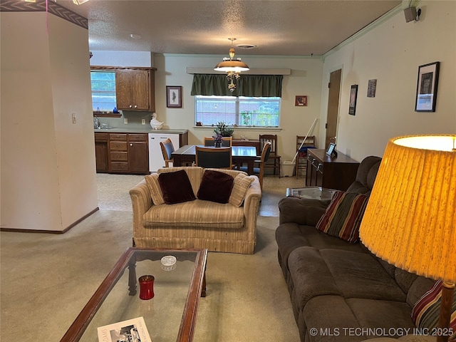 201 NE 18th Ave, Durant, OK 74701 - living area featuring light carpet and a textured ceiling