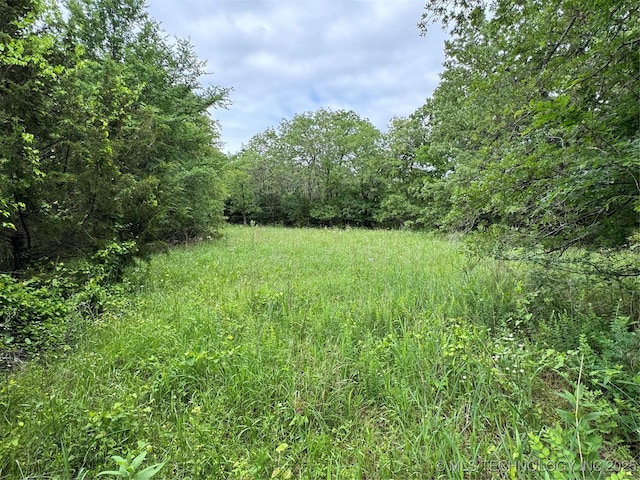 Tanglewood Ct, Lone Grove, OK 73443 - photo 2