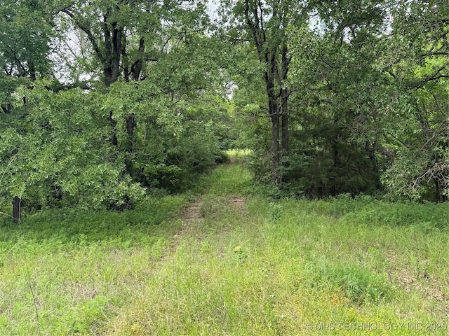 Tanglewood Ct, Lone Grove, OK 73443 - photo 3