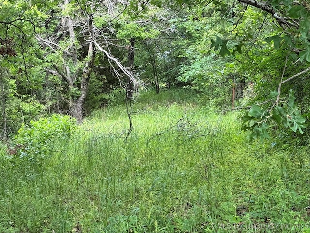 Tanglewood Ct, Lone Grove, OK 73443 - photo 5