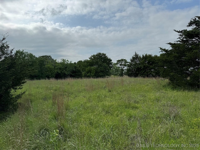 Tanglewood Ct, Lone Grove, OK 73443 - photo 6