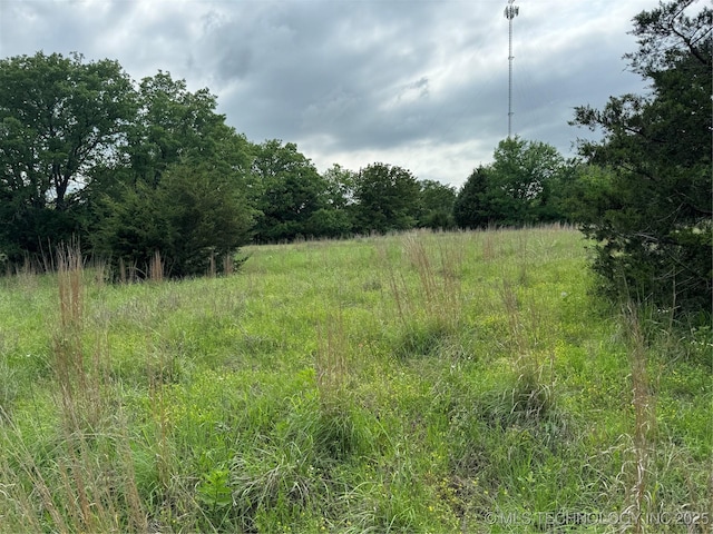 Tanglewood Ct, Lone Grove, OK 73443 - photo 7