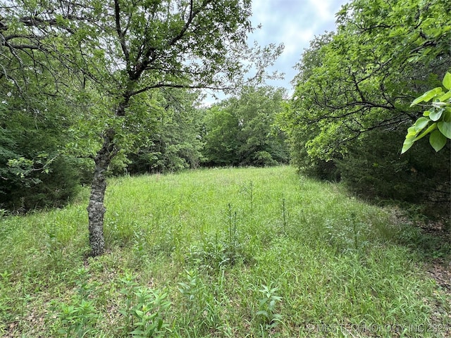 Tanglewood Ct, Lone Grove, OK 73443 - photo 8