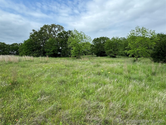 Tanglewood Ct, Lone Grove, OK 73443 - photo 9