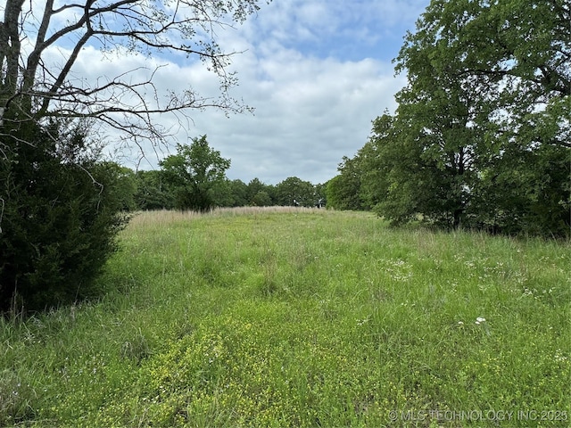Tanglewood Ct, Lone Grove, OK 73443 - photo 11