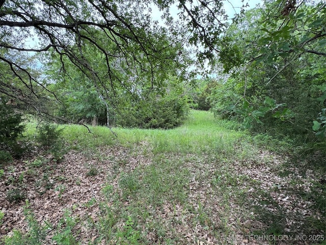 Tanglewood Ct, Lone Grove, OK 73443 - photo 12