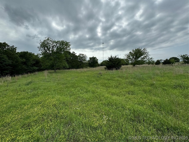 Tanglewood Ct, Lone Grove, OK 73443 - photo 14
