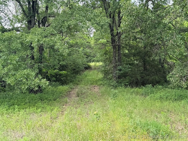 Tanglewood Ct, Lone Grove, OK 73443 - photo 19
