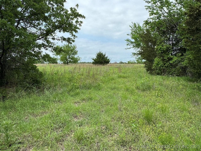 Tanglewood Ct, Lone Grove, OK 73443 - photo 21